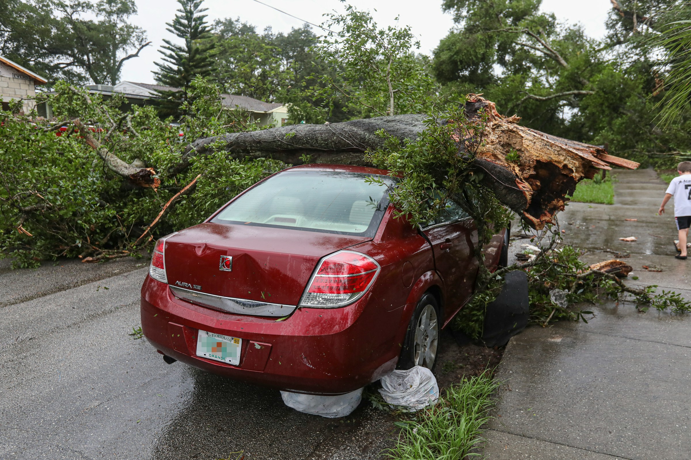 Tree fallen onto a red Saturn sedan in the middle of the road.